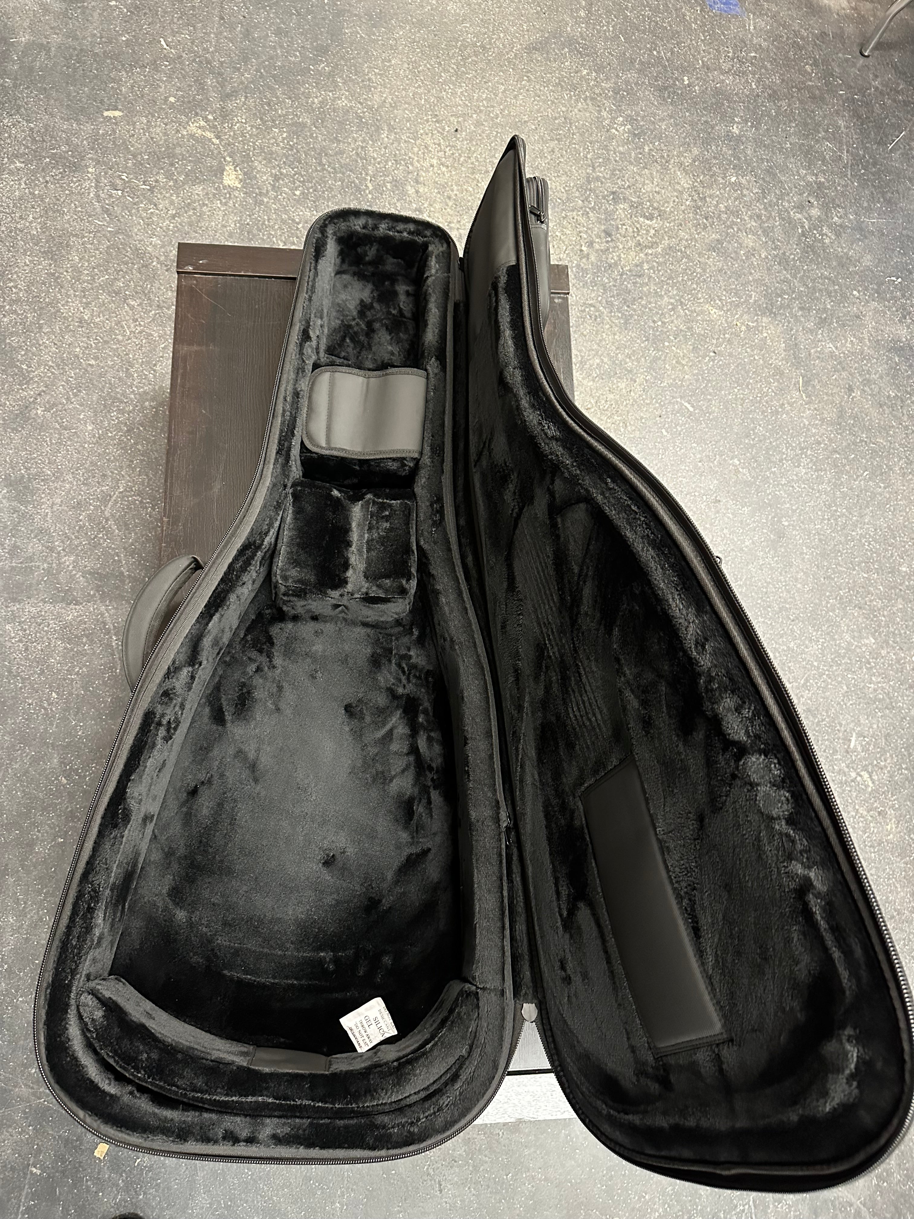PULSE WGC3000 guitar case
