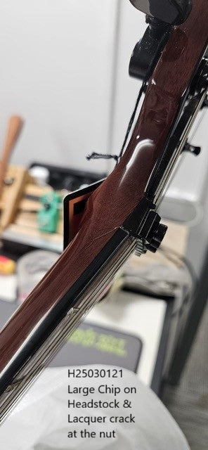 DEAN ML 79 FLOYD FLAME TOP DUNCANS SLIME B-stock