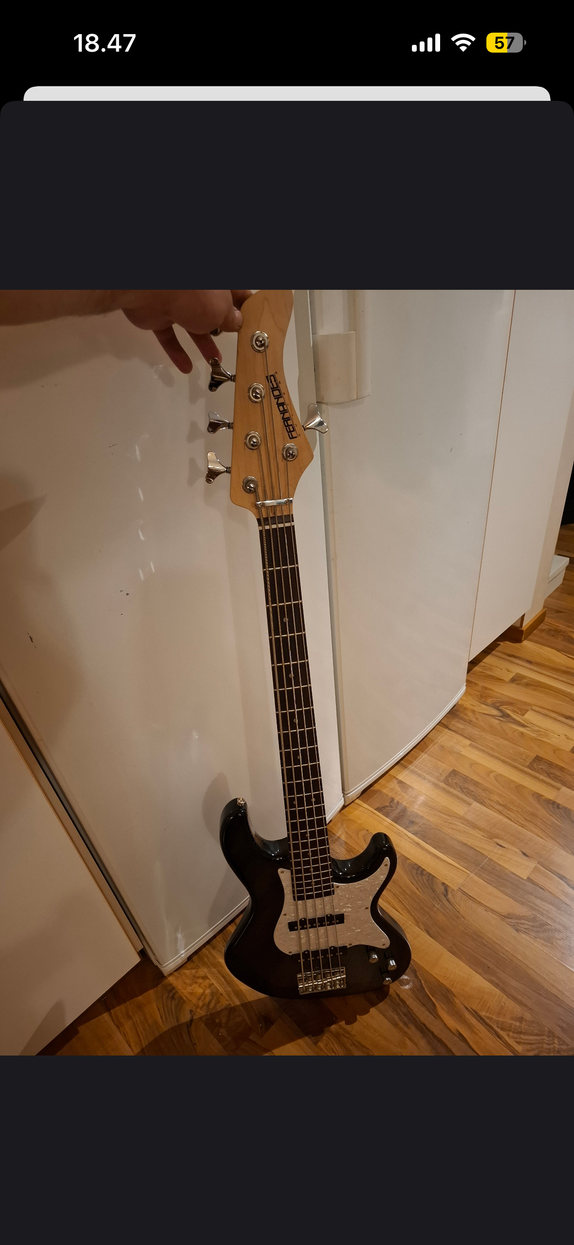 Fernandes Retrospect 5 string bass reowned