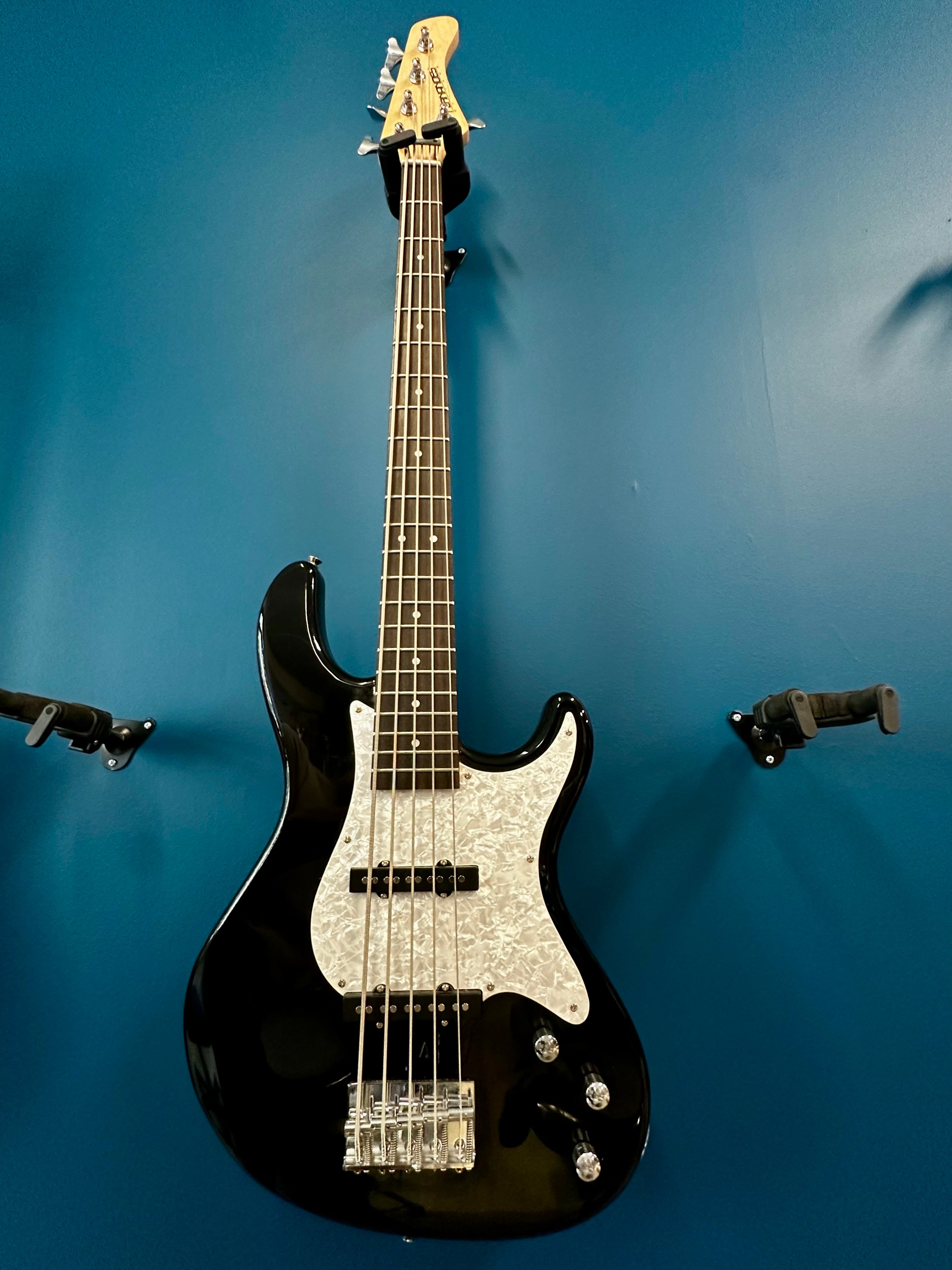 Fernandes Retrospect 5 string bass reowned