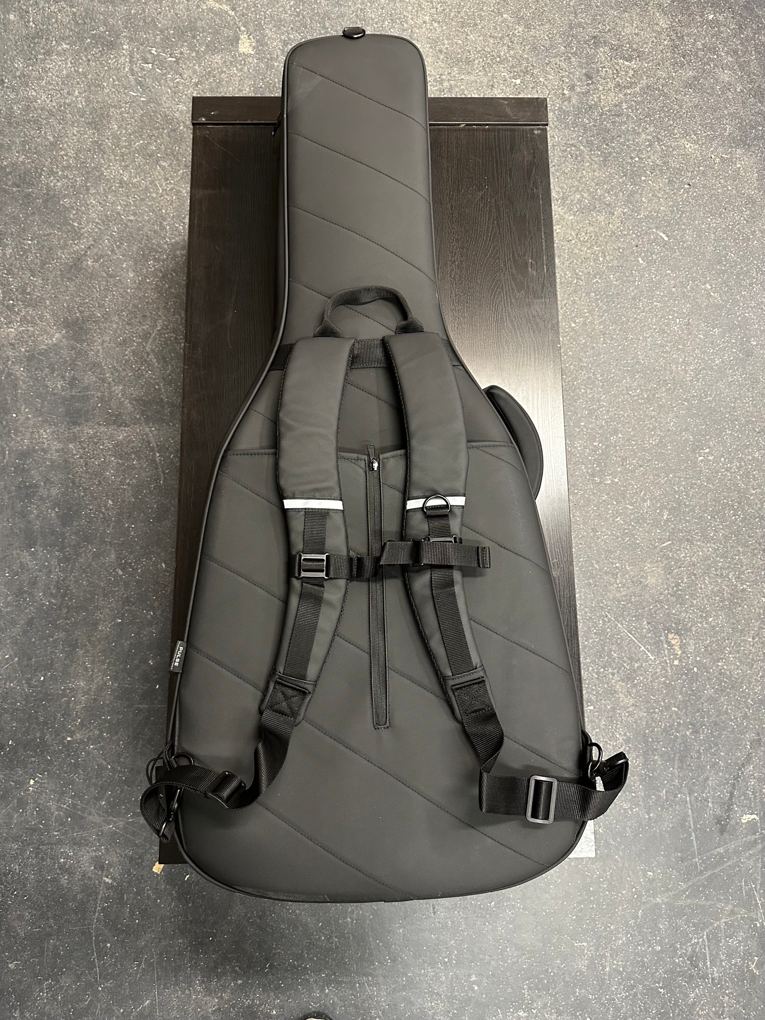 PULSE WGC3000 guitar case